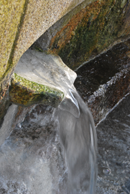 Fuente